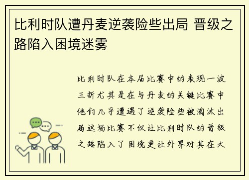 比利时队遭丹麦逆袭险些出局 晋级之路陷入困境迷雾