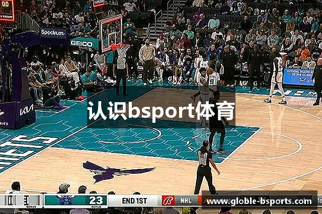 认识bsport体育